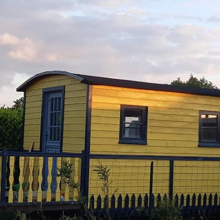 Roulotte Et Jacuzzi De Rachel Au Domaine Du Reuze Villa Winnezeele Eksteriør billede